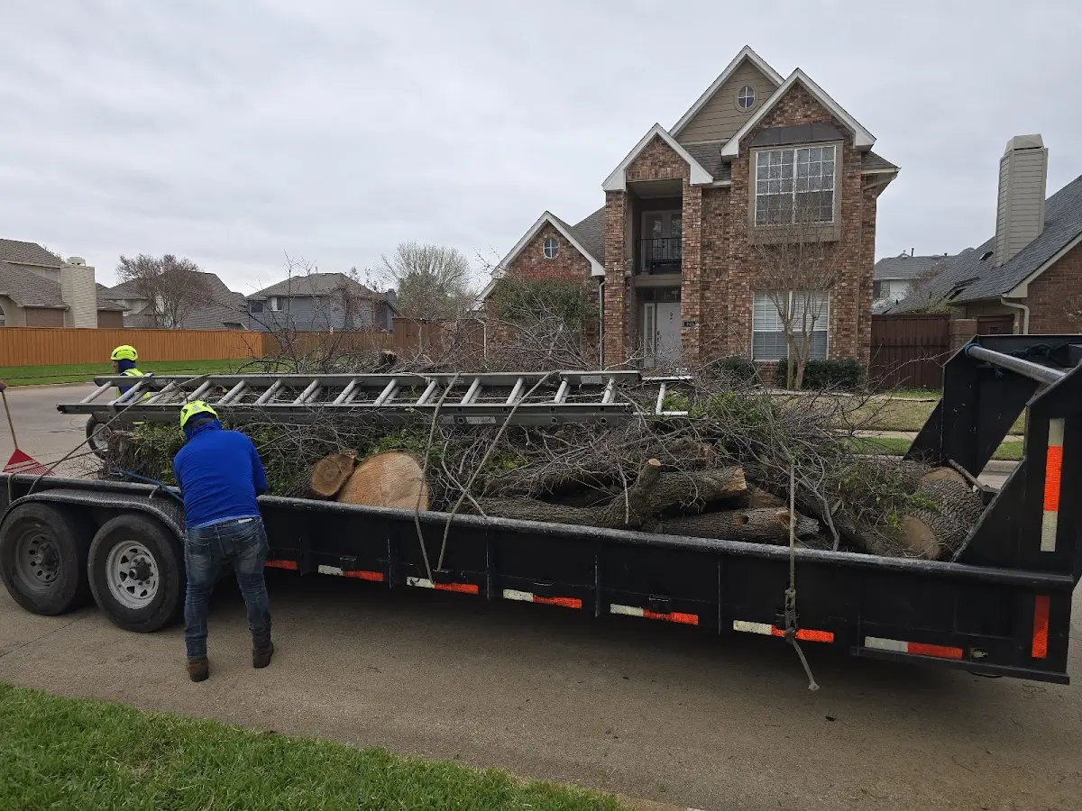 Expert Lot Clearing with proper safety equipment in Colton